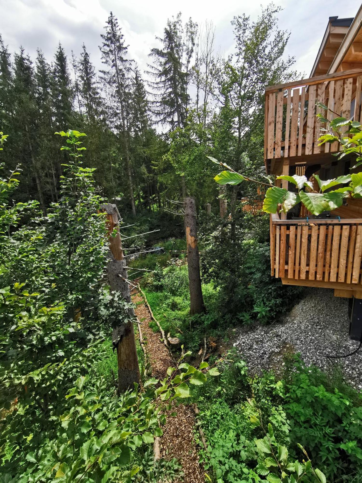 Отель Wald Ist Zukunft Бернбойрен Экстерьер фото