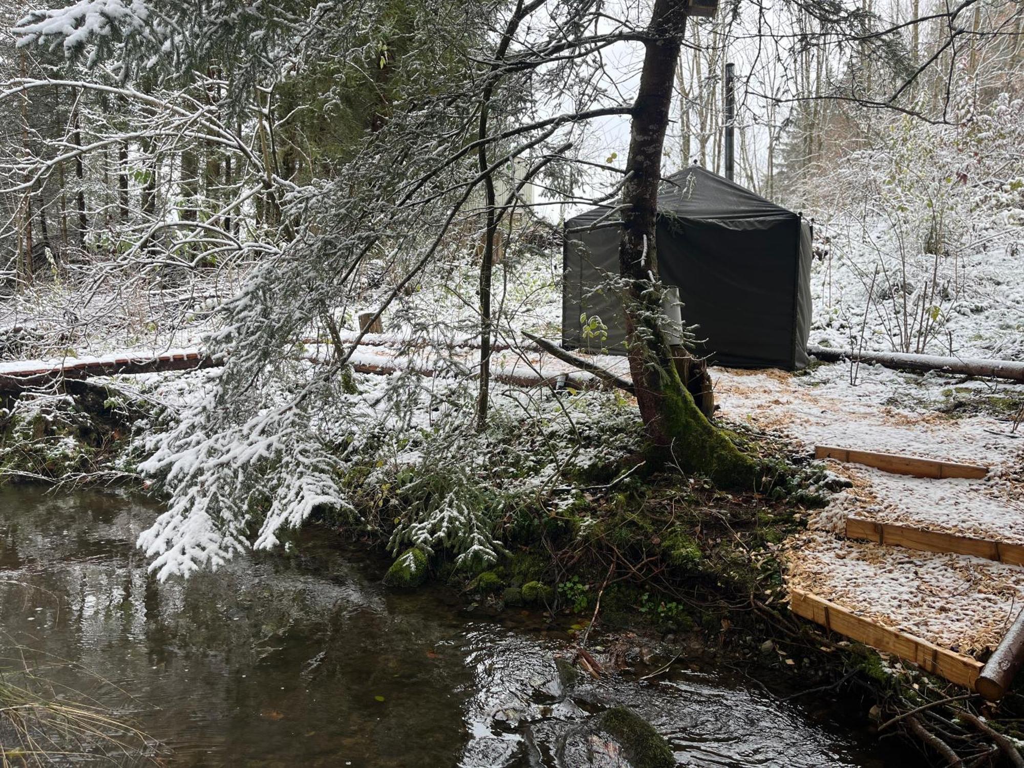 Отель Wald Ist Zukunft Бернбойрен Экстерьер фото
